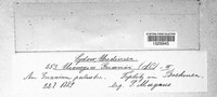 Uromyces geranii image